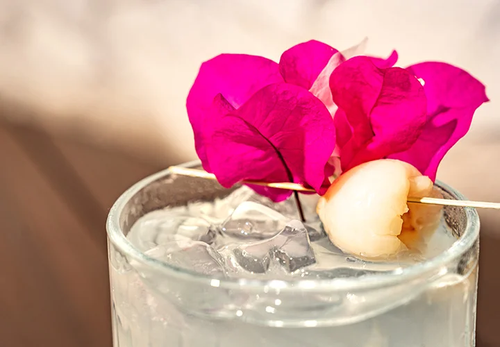 Nicksan Nuevo Vallarta